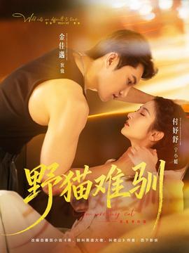 野猫难驯(全集)